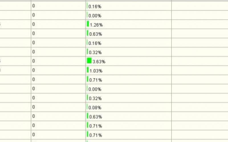 Итоги голосования по проекту «Снегурка года» на 31 декабря