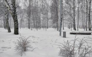 Рабочая неделя в Первоуральске будет прохладной с снежной