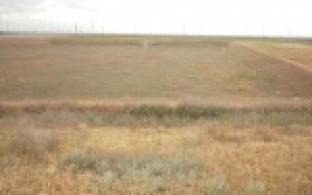 «Зелёный свет» экополигону ПНТЗ