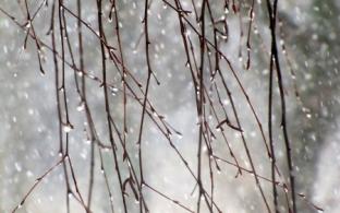 В Первоуральске похолодает к концу рабочей недели