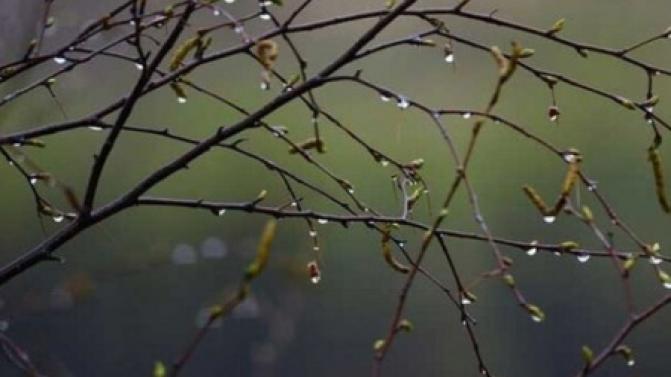 В выходные в Первоуральске станет прохладнее