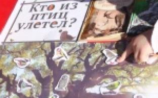 Сегодня в одном из парков Первоуральска появились новые кормушки