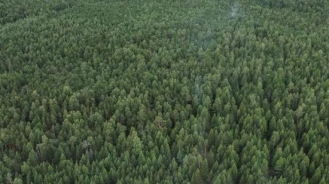 Утверждена дата начала пожароопасного сезона в Свердловской области