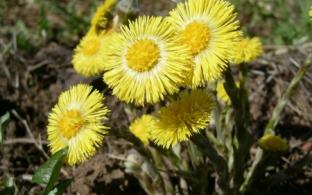 Выходные в Первоуральске будут тёплыми