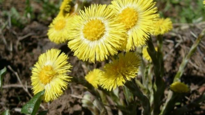 Выходные в Первоуральске будут тёплыми