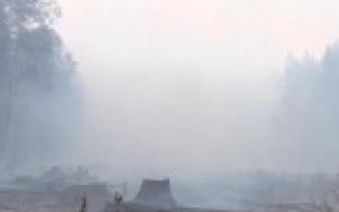 Губернатор Денис Паслер утвердил сводный план тушения лесных пожаров в Свердловской области