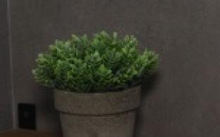 Четвёртый подъезд дома №48б на улице Трубников – один из самых ухоженных и красивых на Среднем Урале