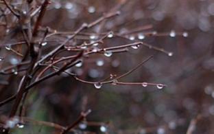 Выходные в Первоуральске будут тёплыми