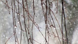 Ночью 0 градусов, днём до +9: погода на выходные 11-12 апреля в Первоуральске