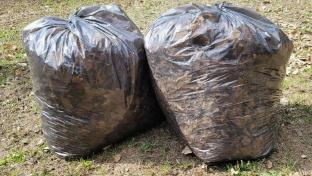 В Первоуральске начался сезон субботников