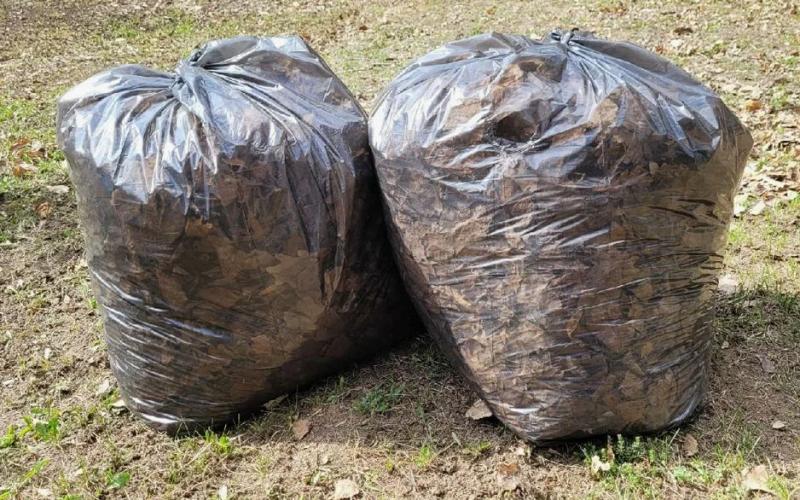 В Первоуральске начался сезон субботников