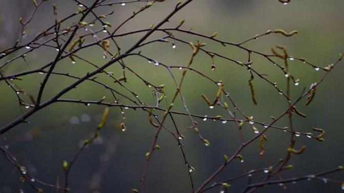 Выходные в Первоуральске будут прохладными и дождливыми