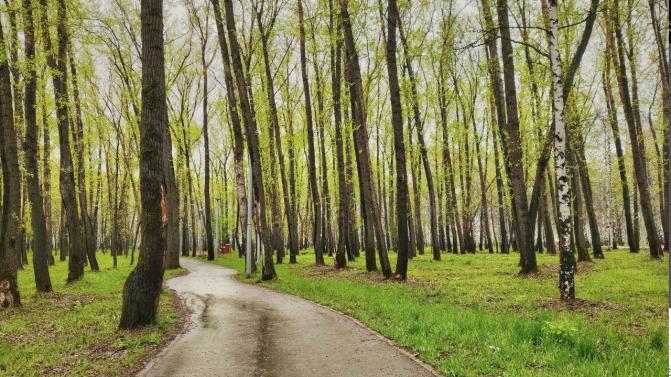 Рабочая неделя в Первоуральске будет тёплой, но дождливой