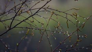 Выходные в Первоуральске будут прохладными