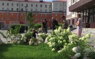 Озеленение города и поддержание клумб в хорошем состоянии – их главная задача
