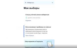 Проголосовать за кандидатов в депутаты можно будет онлайн из любой точки мира