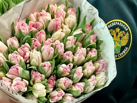 900 тонн цветов завезли на Урал к 8 Марта