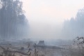 Площадь лесных пожаров в Свердловской области сократилась в 10 раз