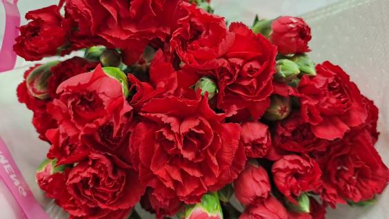 К майским праздникам таможенники Урала оформили более 56 тонн гвоздик