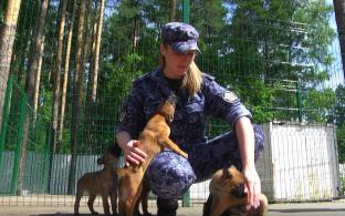 Обучить щенков базовым командам, чтобы в будущем они стали верными напарниками стражей порядка