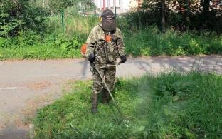 Порядка ста тысяч квадратных метров газонов намерены скосить этим летом первоуральские специалисты