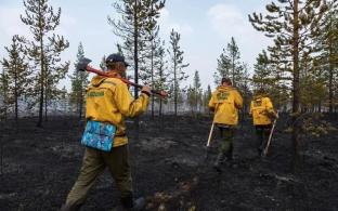 Пожароопасный сезон в Свердловской области сегодня официально закрыт
